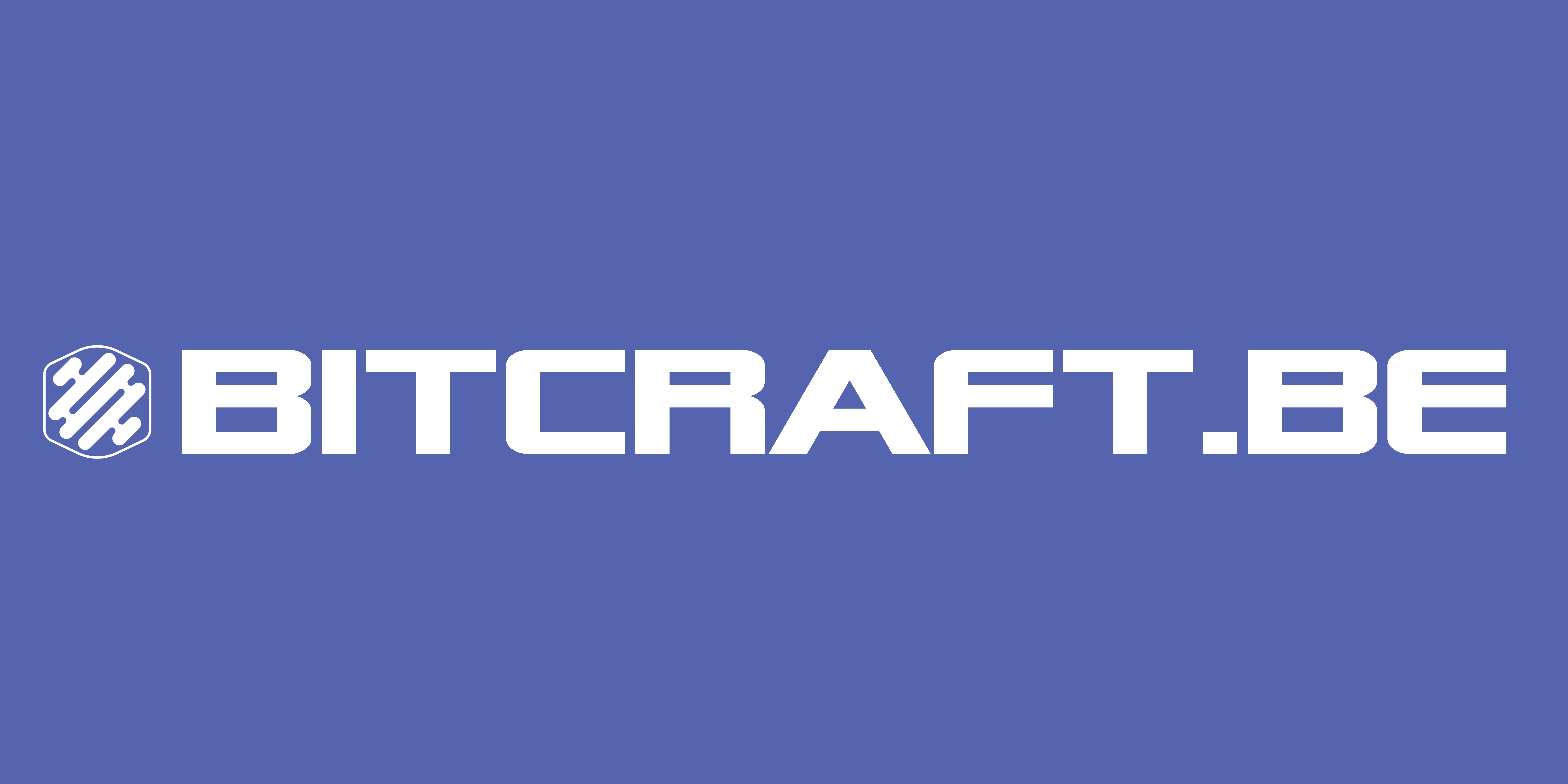 Bitcraft Software Engineering